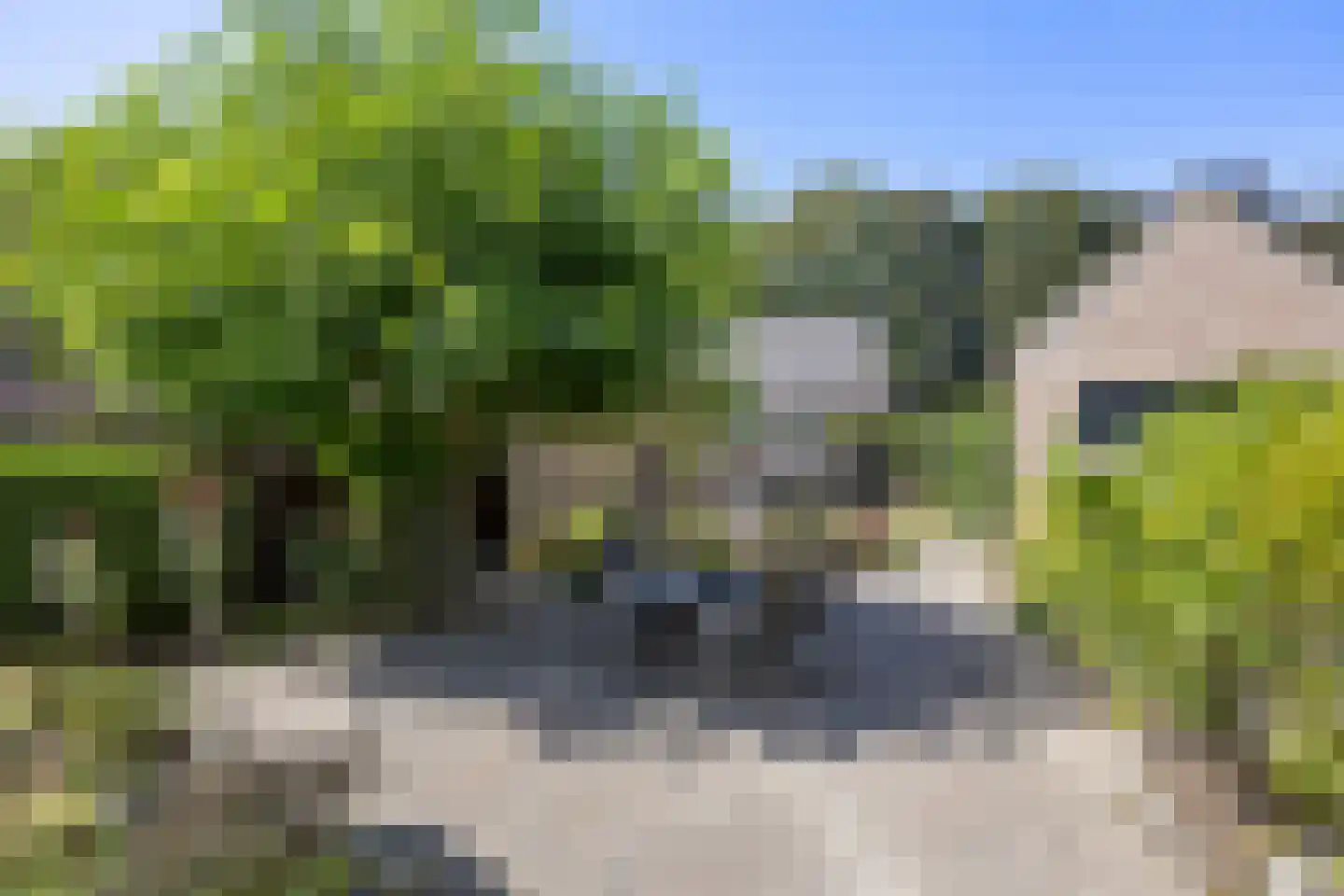 Halder 25 Sint-Michielsgestel thumbnail 43