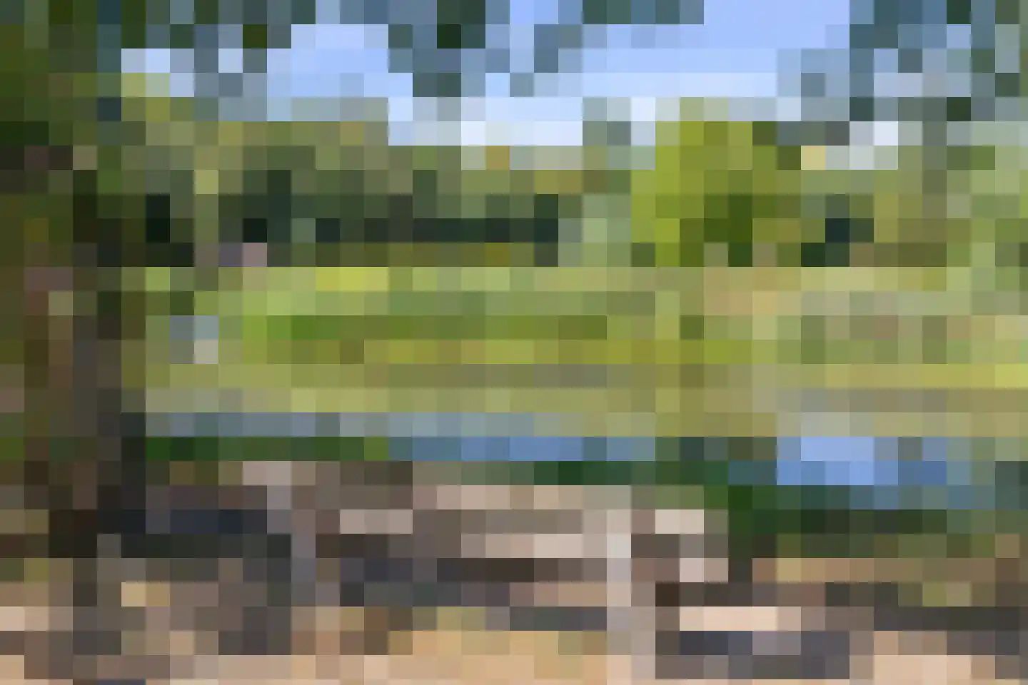 Halder 25 Sint-Michielsgestel thumbnail 64