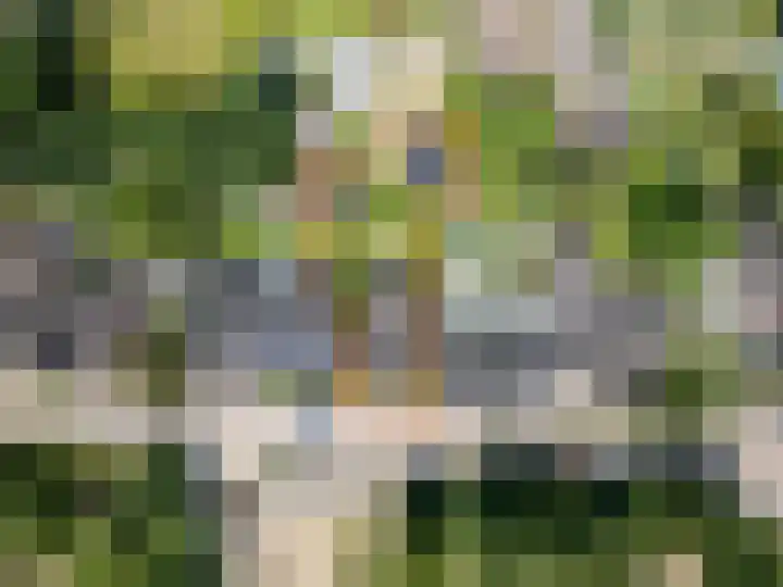 Halder 37 Sint-Michielsgestel thumbnail 100