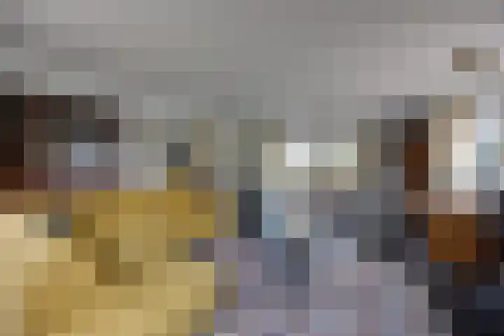 Halderbergselaan 27 Hoeven thumbnail 11