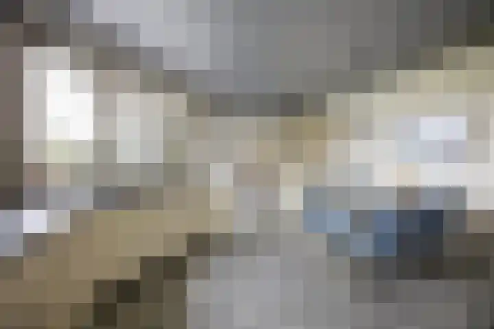 Halderbergselaan 27 Hoeven thumbnail 17