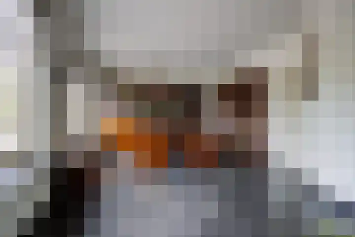 Halderbergselaan 27 Hoeven thumbnail 21