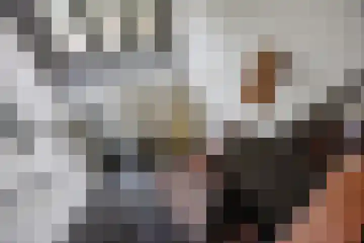 Halderbergselaan 27 Hoeven thumbnail 26
