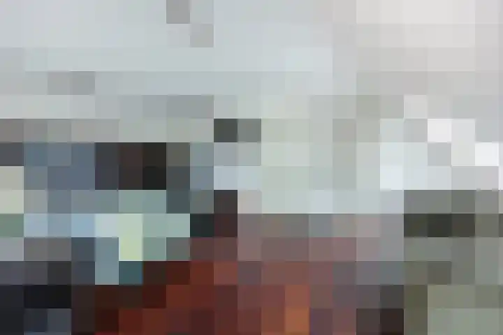 Halderbergselaan 27 Hoeven thumbnail 31