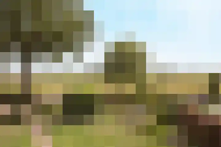 Halderbergselaan 27 Hoeven thumbnail 33