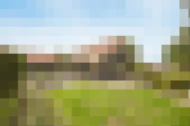 Halderbergselaan 27 Hoeven thumbnail 4
