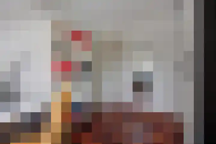 Halderbergselaan 27 Hoeven thumbnail 43