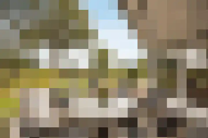 Halderbergselaan 27 Hoeven thumbnail 49