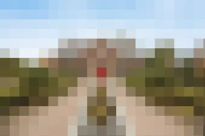 Halderbergselaan 27 Hoeven thumbnail 5