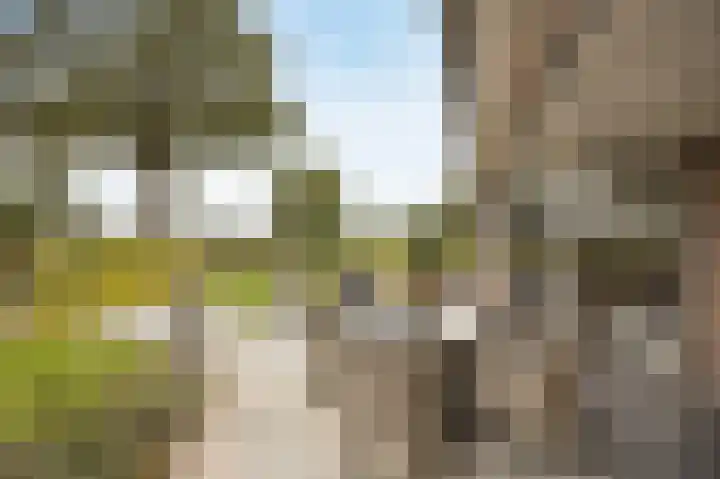 Halderbergselaan 27 Hoeven thumbnail 50