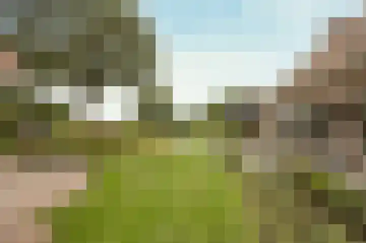 Halderbergselaan 27 Hoeven thumbnail 51
