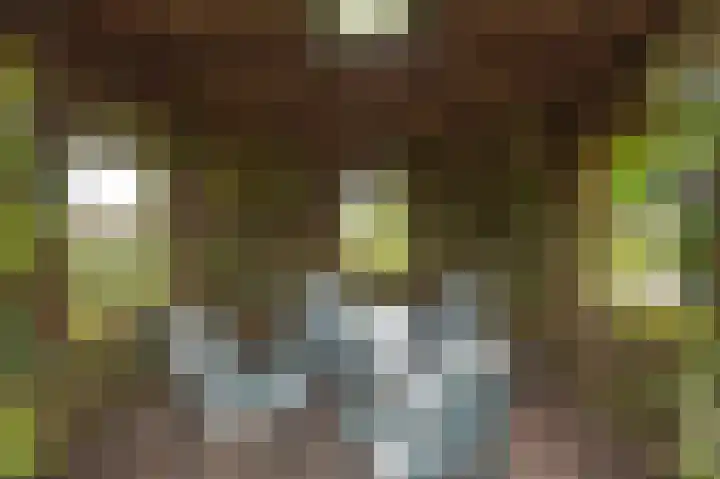 Halderbergselaan 27 Hoeven thumbnail 54