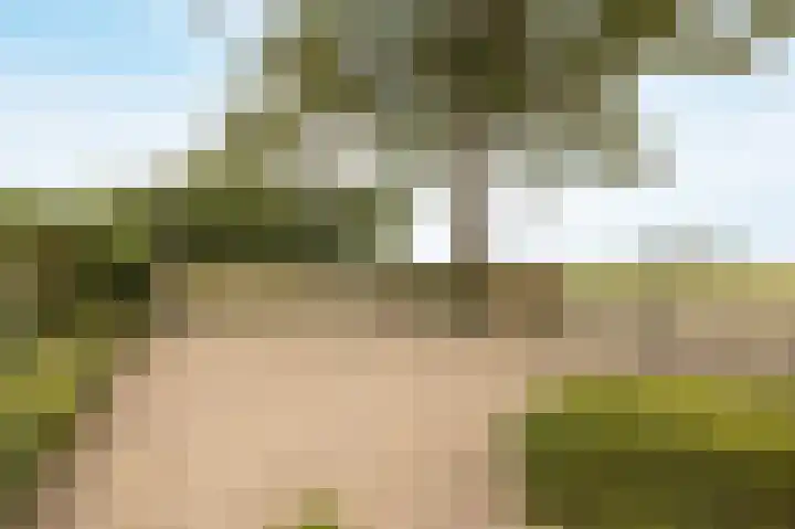 Halderbergselaan 27 Hoeven thumbnail 56