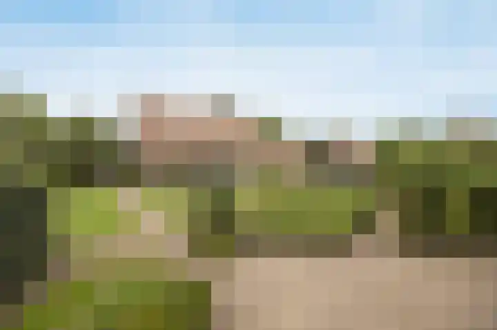 Halderbergselaan 27 Hoeven thumbnail 57