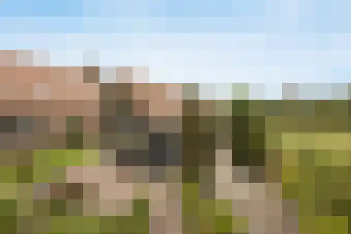 Halderbergselaan 27 Hoeven thumbnail 58