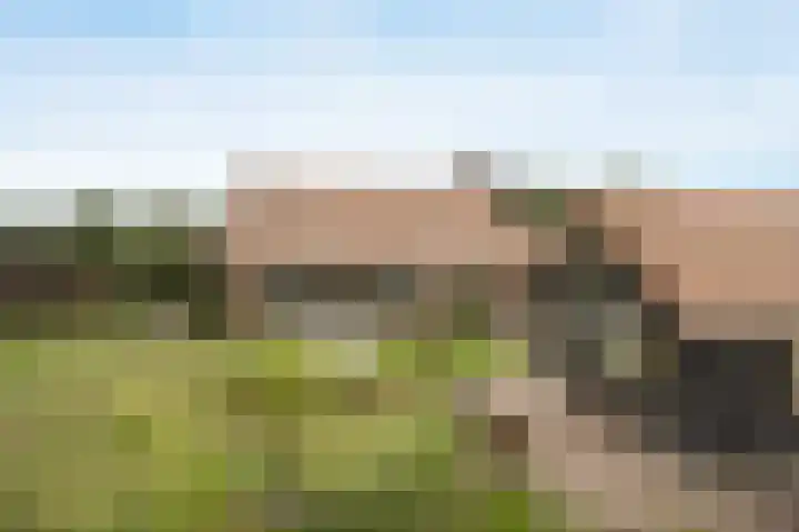 Halderbergselaan 27 Hoeven thumbnail 59