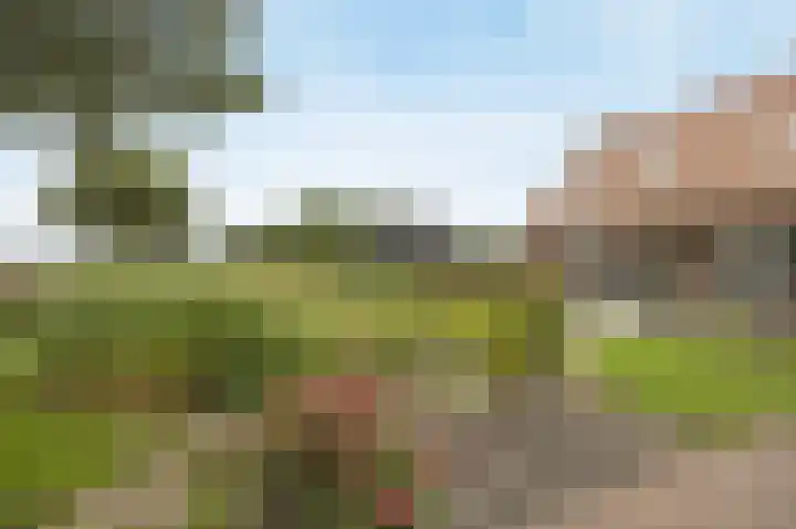 Halderbergselaan 27 Hoeven thumbnail 60