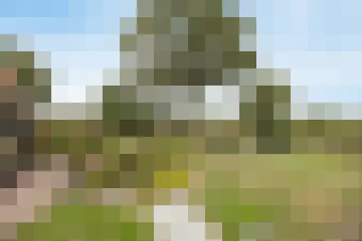 Halderbergselaan 27 Hoeven thumbnail 62
