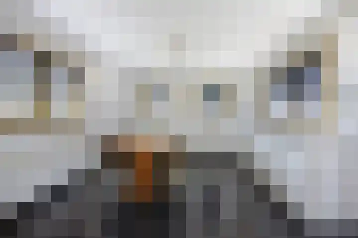 Halderbergselaan 27 Hoeven thumbnail 64