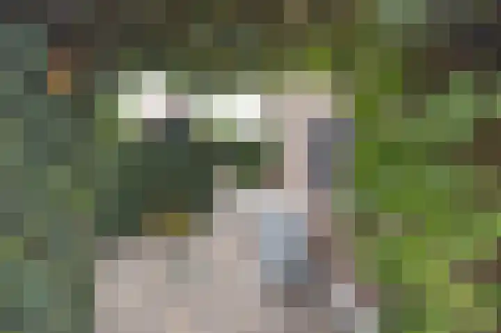 Halderbergselaan 27 Hoeven thumbnail 67