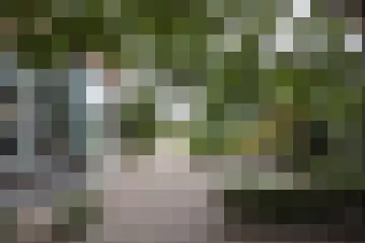 Halderbergselaan 27 Hoeven thumbnail 68