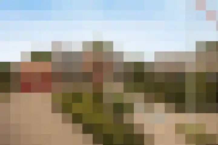 Halderbergselaan 27 Hoeven thumbnail 69