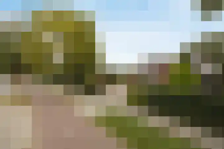 Halderbergselaan 27 Hoeven thumbnail 72