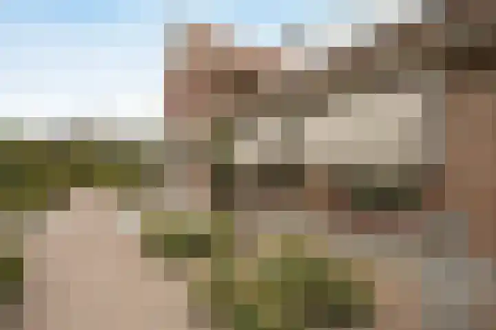 Halderbergselaan 27 Hoeven thumbnail 76