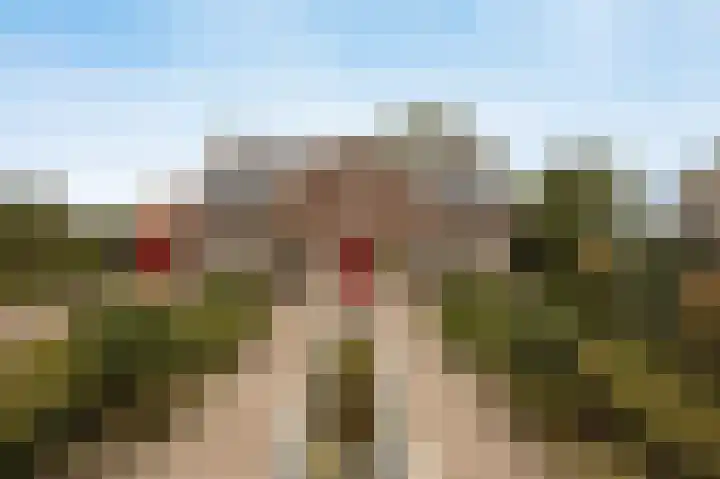Halderbergselaan 27 Hoeven thumbnail 78