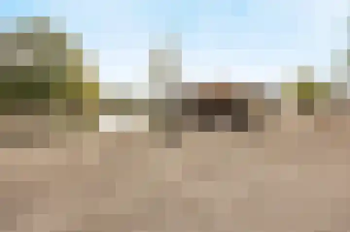 Halderbergselaan 27 Hoeven thumbnail 80