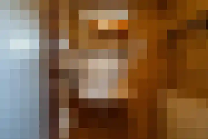 Haldereng 15 Bennekom thumbnail 30