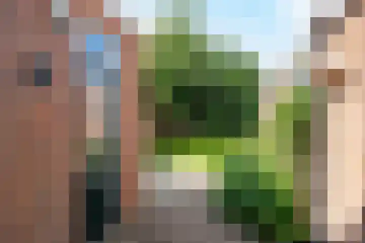 Haldereng 15 Bennekom thumbnail 7