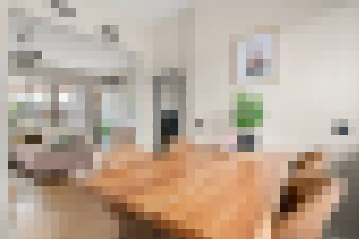 Haldereng 39 Bennekom thumbnail 28