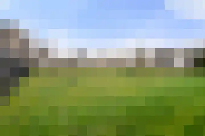 Haldereng 43 Bennekom thumbnail 12