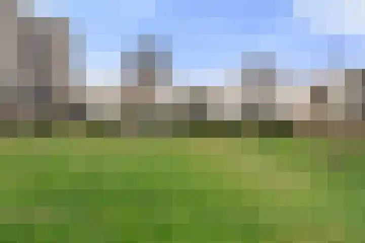 Haldereng 43 Bennekom thumbnail 13