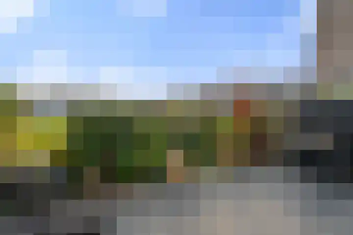 Haldereng 43 Bennekom thumbnail 15