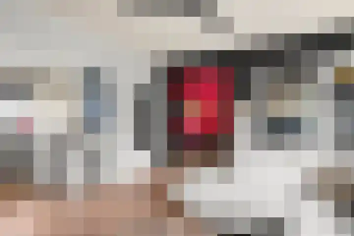 Haldereng 43 Bennekom thumbnail 23