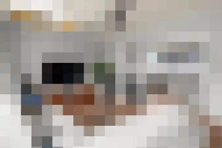 Haldereng 43 Bennekom thumbnail 24