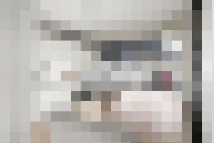 Haldereng 43 Bennekom thumbnail 25
