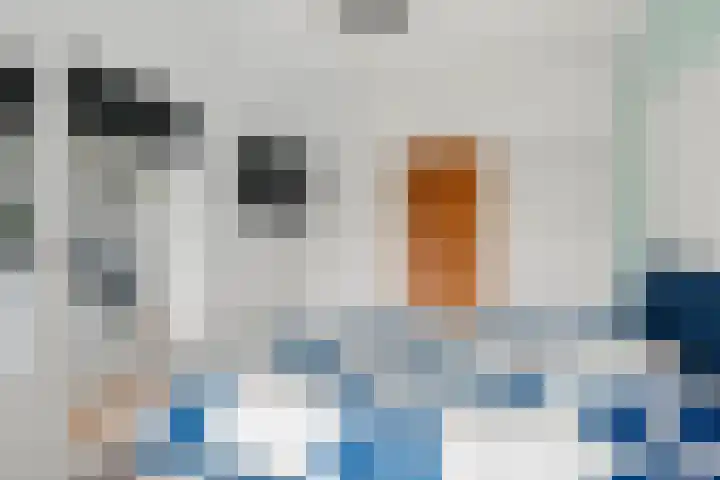 Haldereng 43 Bennekom thumbnail 29