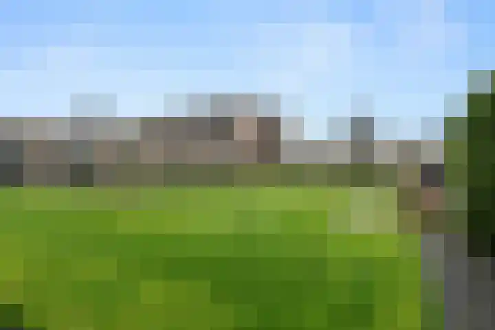 Haldereng 55 Bennekom thumbnail 22