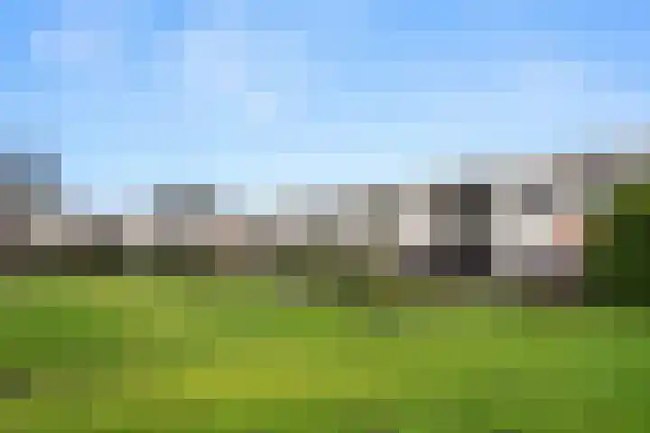 Haldereng 55 Bennekom thumbnail 23