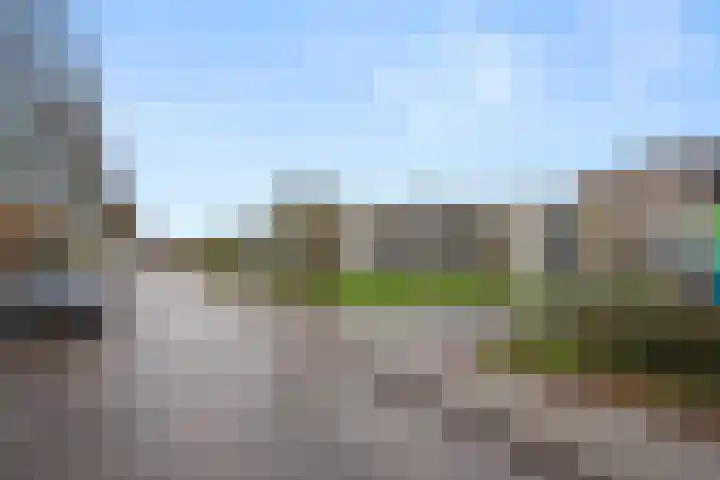 Haldereng 55 Bennekom thumbnail 28