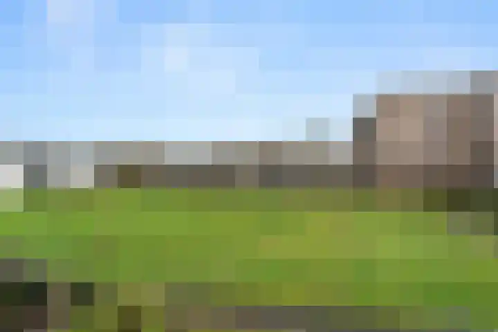 Haldereng 55 Bennekom thumbnail 9