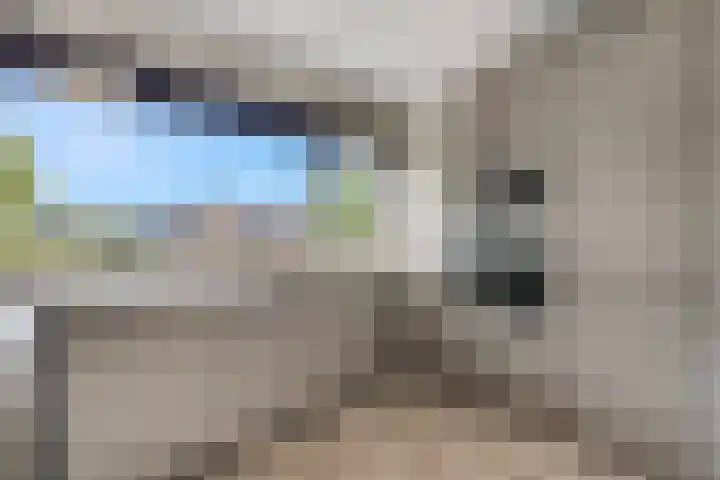 Haldereng 57 Bennekom thumbnail 10