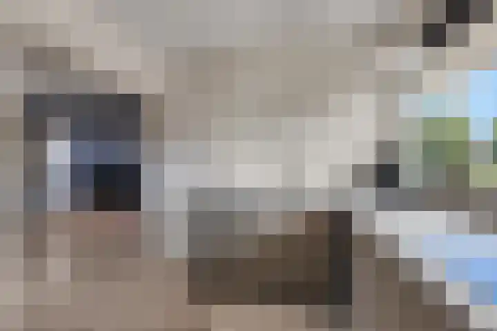Haldereng 57 Bennekom thumbnail 12