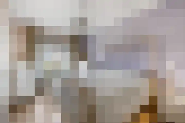 Haldereng 57 Bennekom thumbnail 13