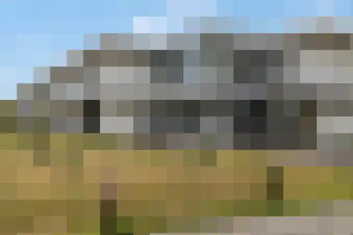 Haldereng 57 Bennekom thumbnail 28