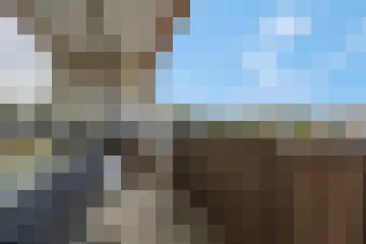 Haldereng 57 Bennekom thumbnail 7