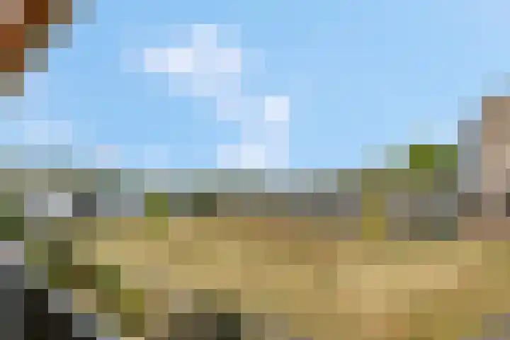 Haldereng 57 Bennekom thumbnail 9